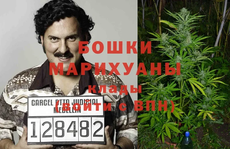 Бошки Шишки LSD WEED  Ноябрьск 